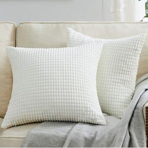 18x18 2pk White Pillow Covers